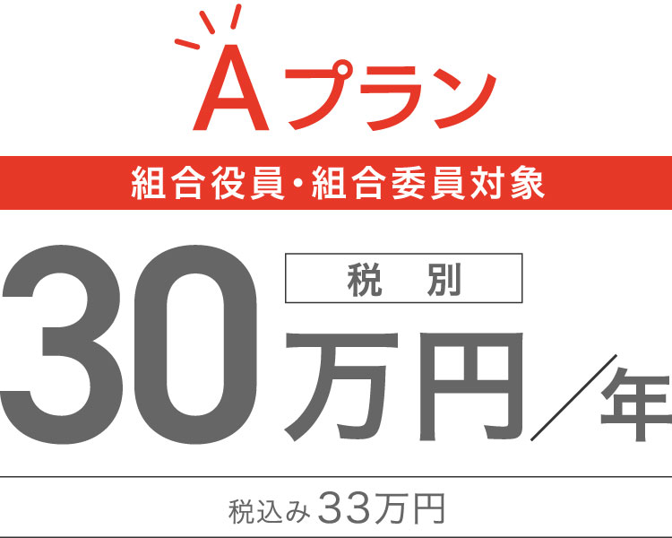 Aプラン　組合役員・組合委員対象　33万円税込み／年