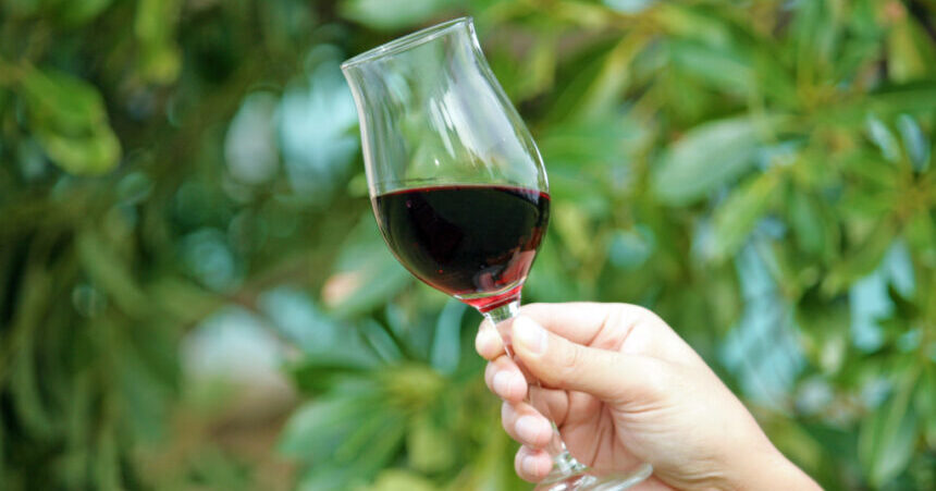 使える！グラスを回す前に知るべきワインの知識
