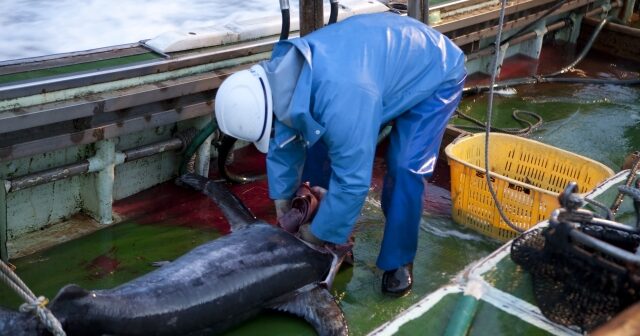 コロナ時代だからこそ活かせる！　マグロ船で学んだ！　楽しく働き成果を上げる仕事術