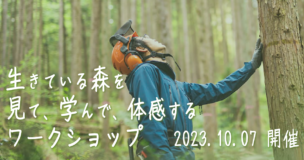 生きている森を見て、学んで、体感するワークショップ